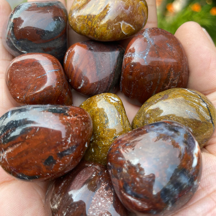 Petrified Wood Tumbled (M-L)