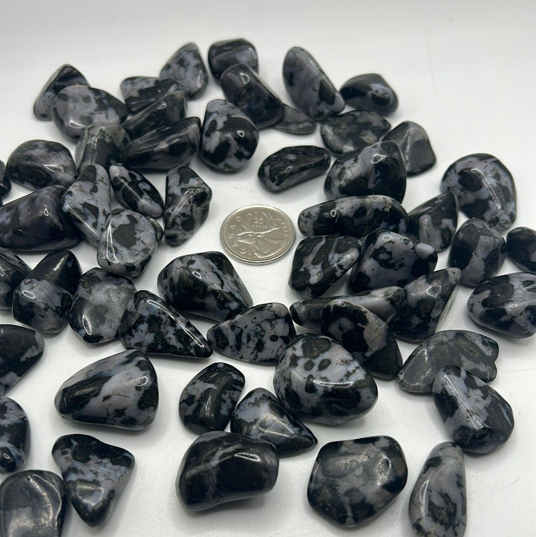 Indigo Gabbro/Mystic Merlinite Tumbled Stone (S)