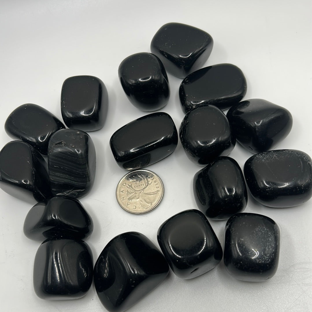 Black Obsidian Tumbled Healing Stones (lb)