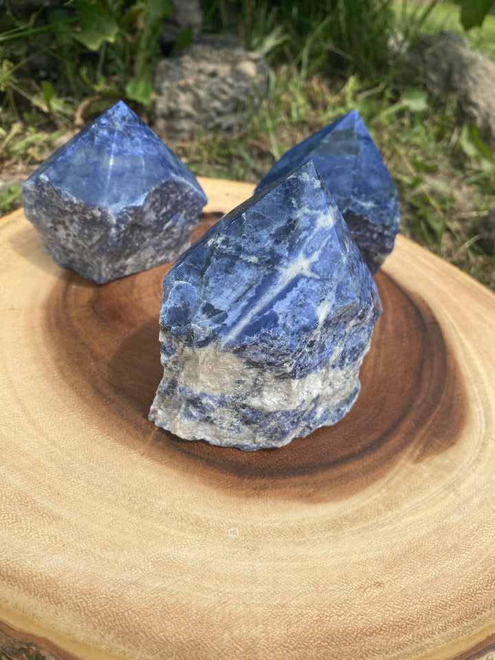Sodalite Top Polished Point (L)