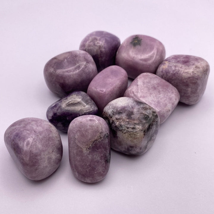 Lepidolite Tumbled Stones (lb)