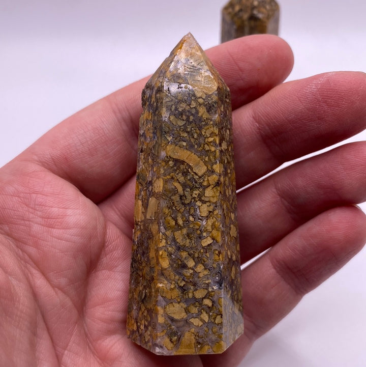 Coral Fossil 2 1/2” Polished Point