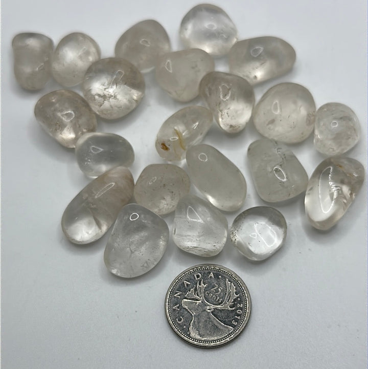 Clear Quartz tumbled Crystal Stones (lb)