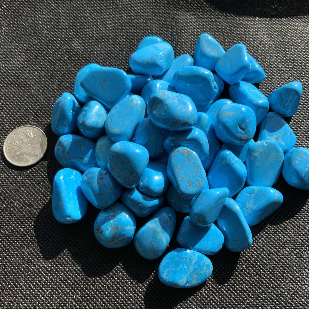 Turquoise Howlite Tumbled Healing Stones