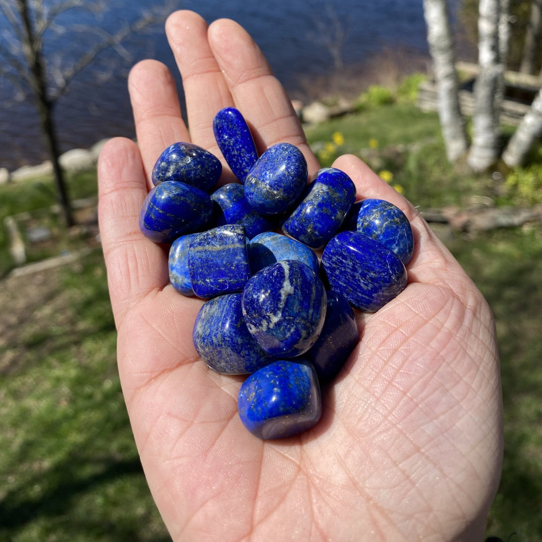Lapis Lazuli Tumbled Healing Stones